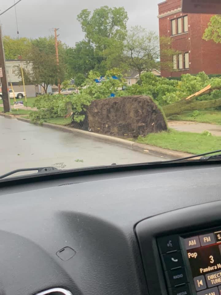 Tree down outside Fratt Elementary